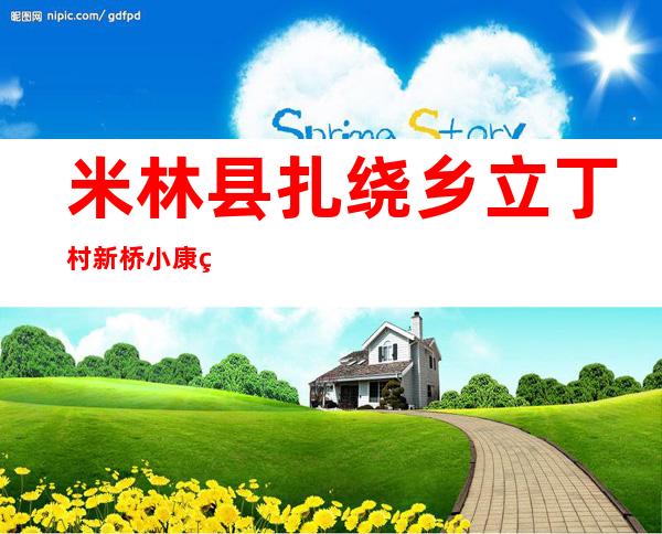米林县扎绕乡立丁村新桥小康砂石有限公司